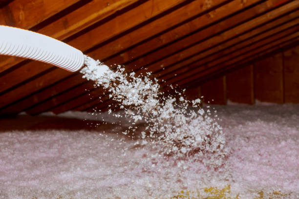Best Cellulose Insulation in Lake Cherokee, TX