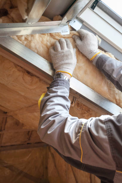 Types of Insulation We Offer in Lake Cherokee, TX