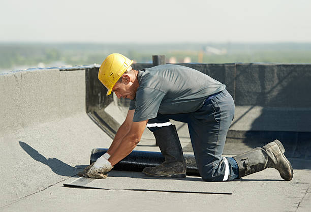Best Commercial Insulation in Lake Cherokee, TX