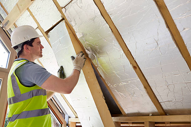 Best Insulation Maintenance and Repair in Lake Cherokee, TX