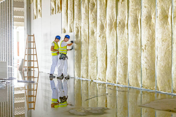 Best Spray Foam Insulation in Lake Cherokee, TX